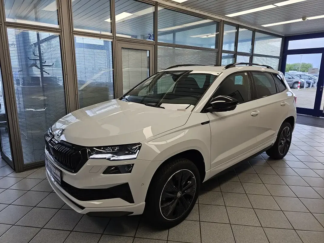 Skoda Karoq - Thumbnail 2