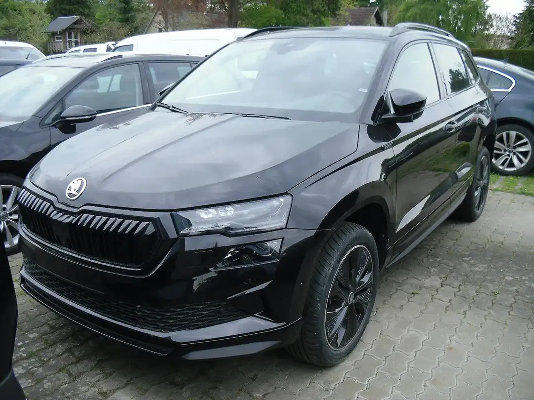 Skoda Karoq - Thumbnail 1