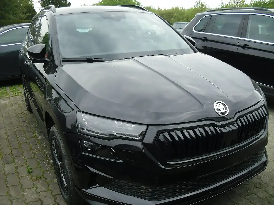Skoda Karoq - Thumbnail 2