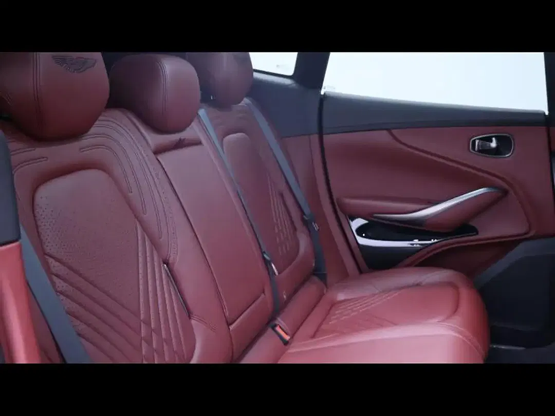 Aston Martin DBX - Thumbnail 14
