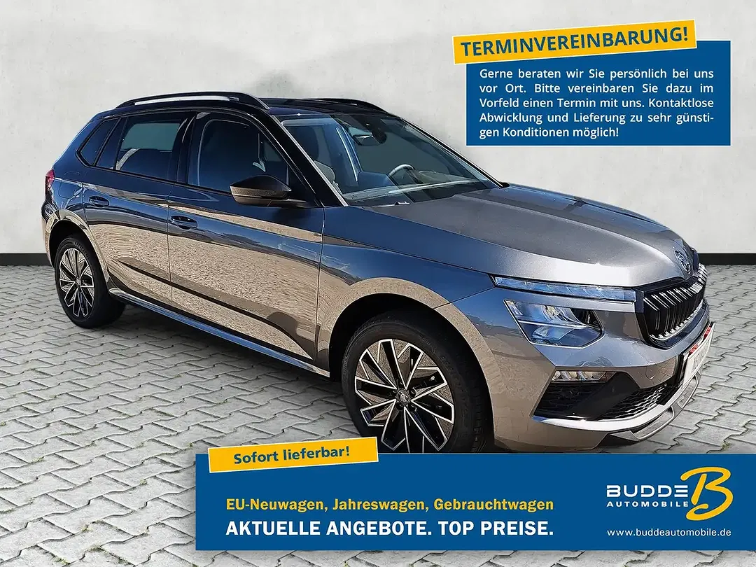 Skoda Kamiq - Thumbnail 1
