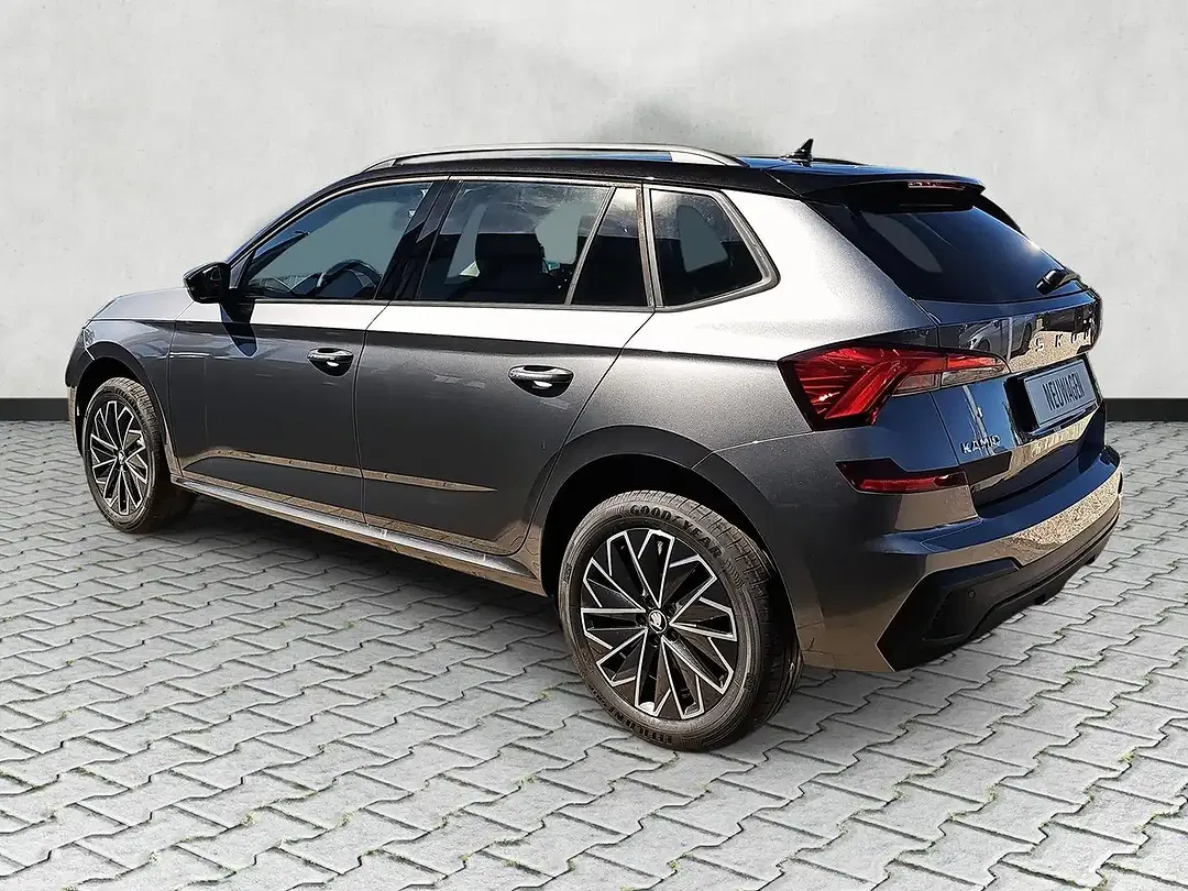 Skoda Kamiq - Thumbnail 20