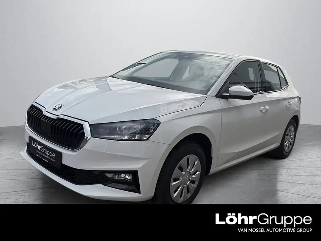 Skoda Fabia - Afbeelding 1