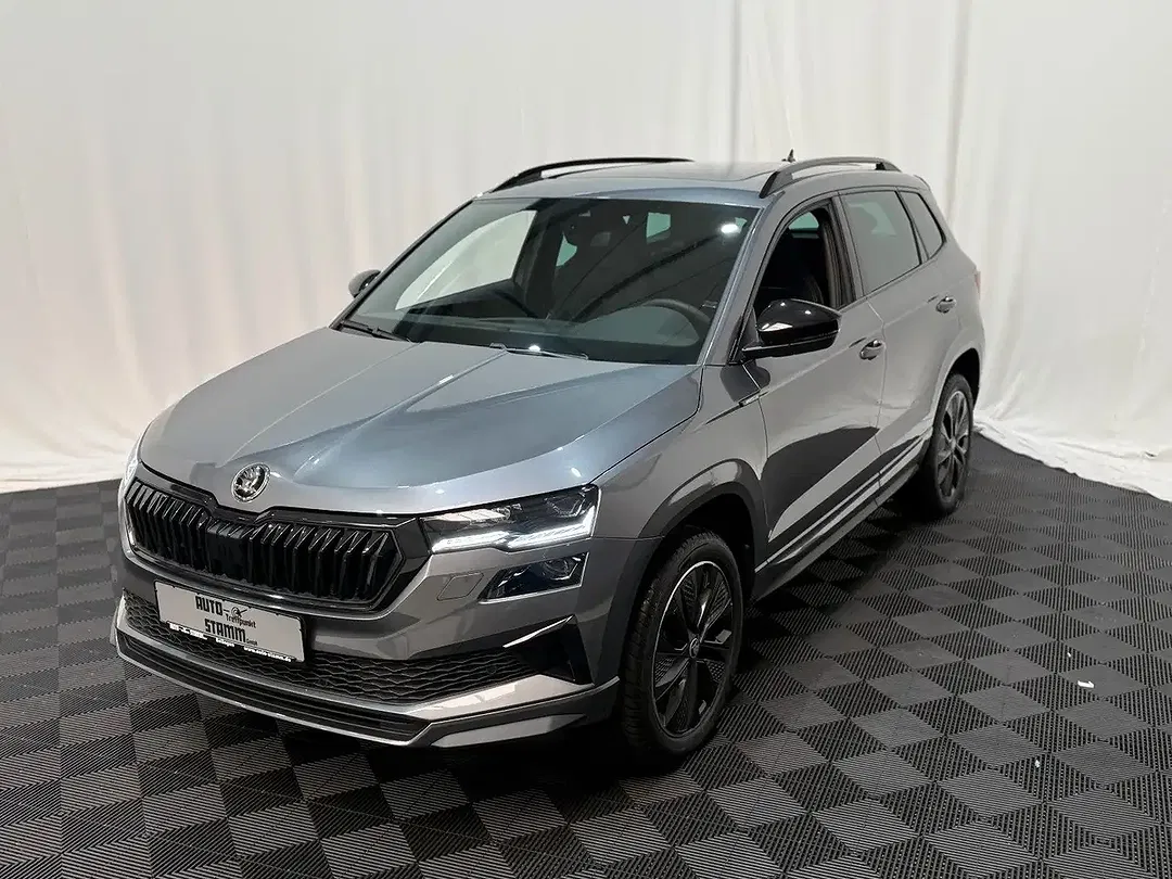 Skoda Karoq - Thumbnail 2