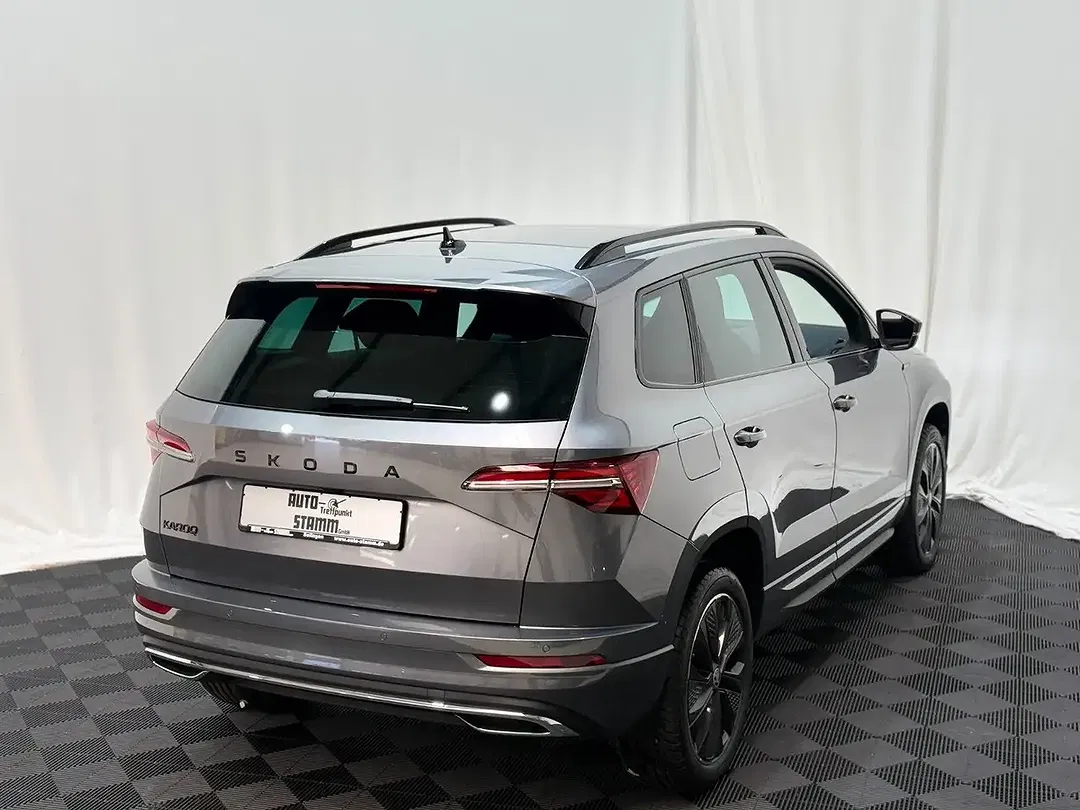 Skoda Karoq - Thumbnail 7