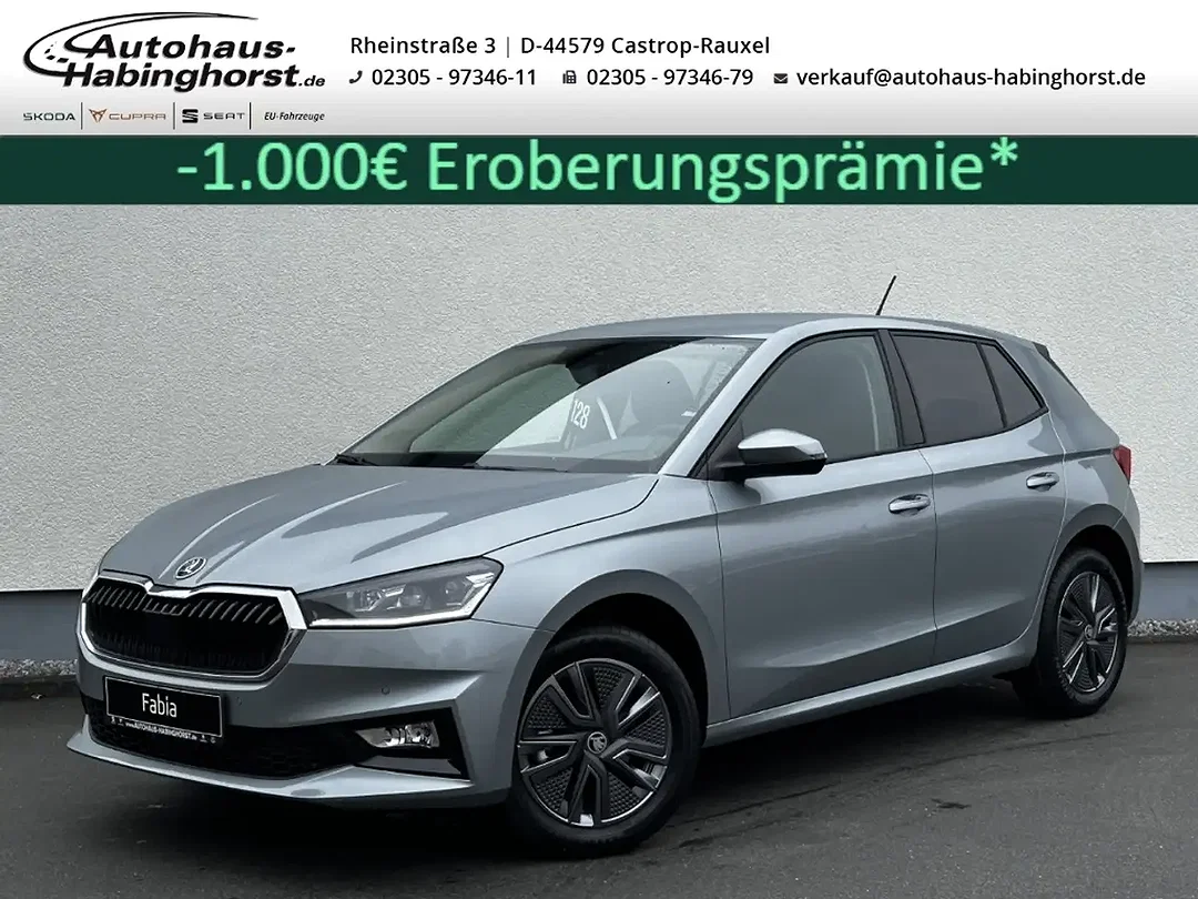 Skoda Fabia - Afbeelding 1