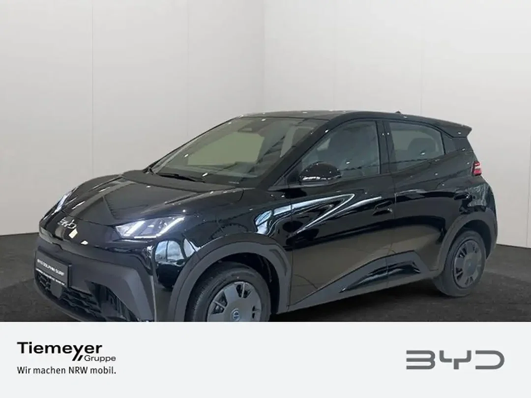 BYD Dolphin Surf - Afbeelding 1