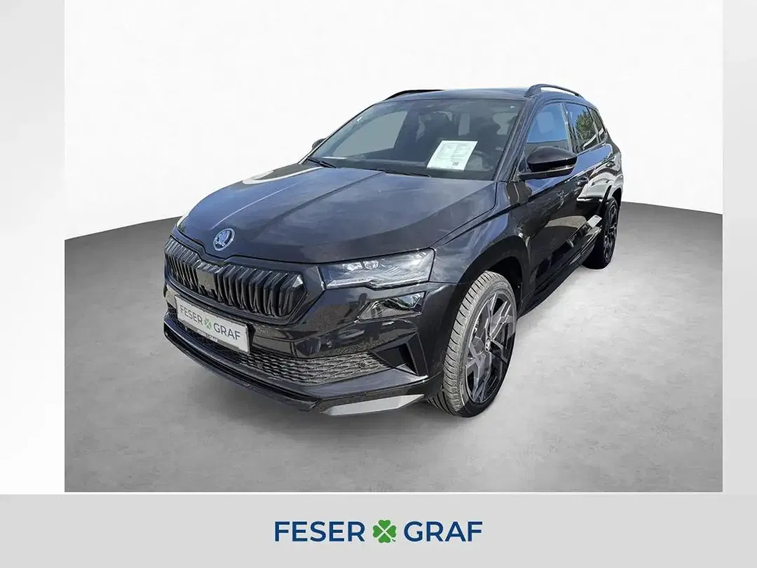 Skoda Karoq - Thumbnail 1
