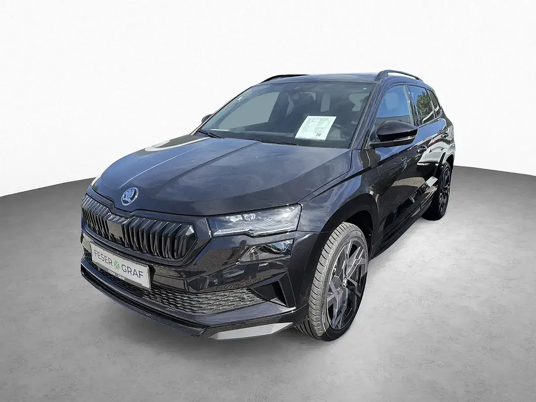 Skoda Karoq - Thumbnail 11
