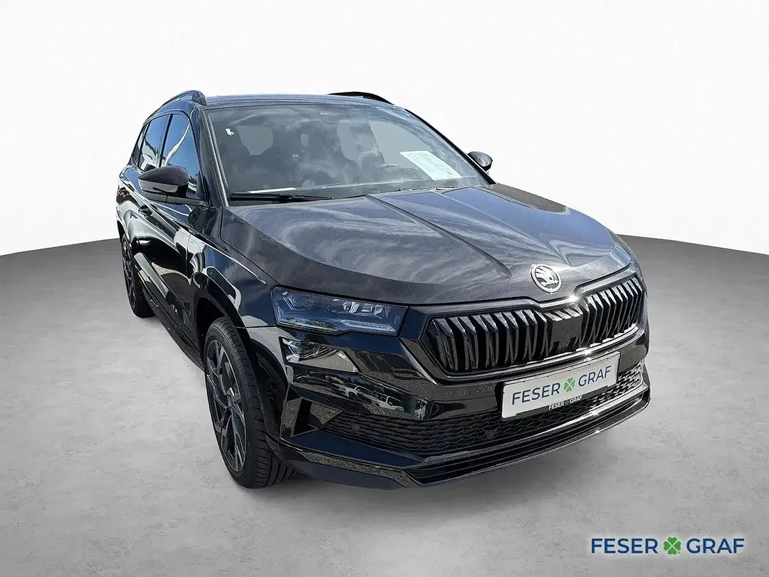 Skoda Karoq - Thumbnail 3