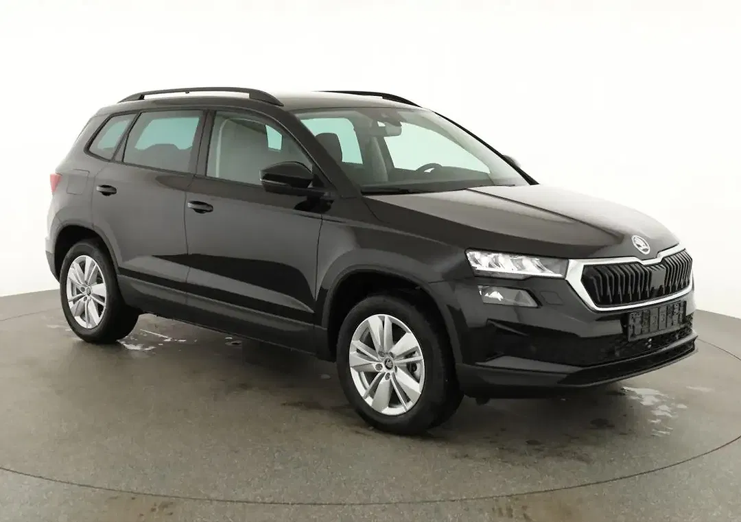 Skoda Karoq - Thumbnail 1