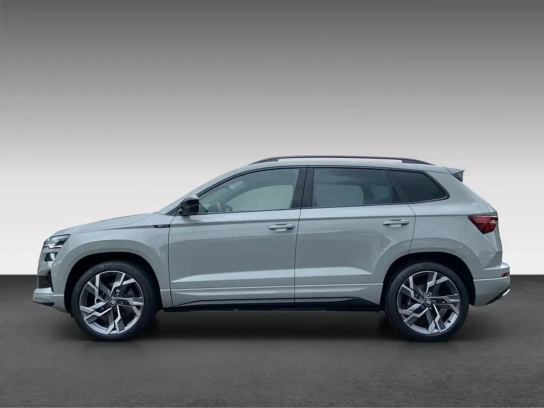 Skoda Karoq - Thumbnail 4