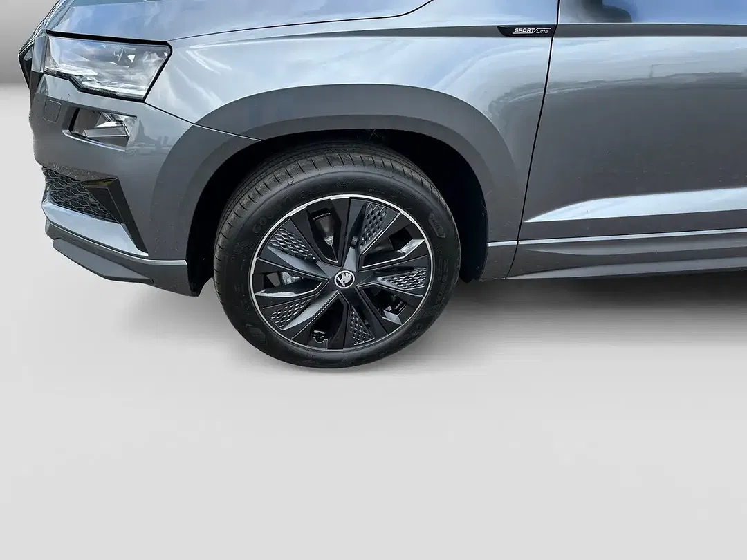 Skoda Karoq - Thumbnail 4