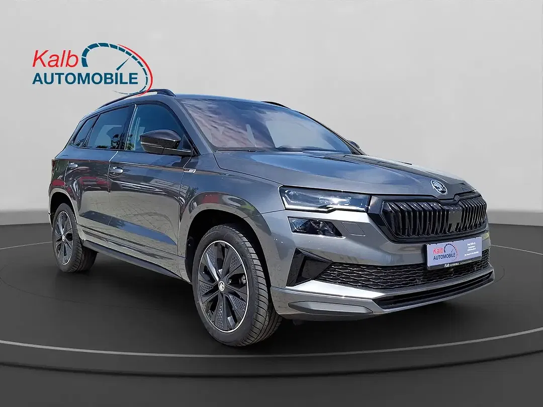 Skoda Karoq - Thumbnail 7
