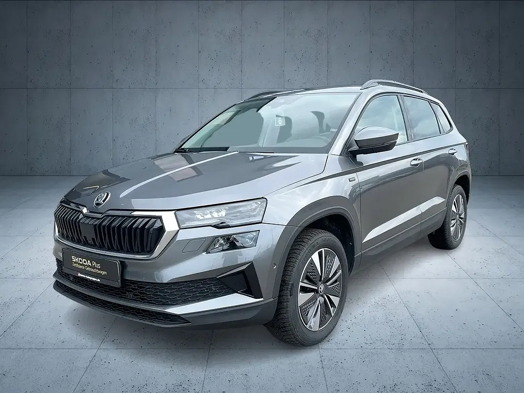 Skoda Karoq - Thumbnail 1