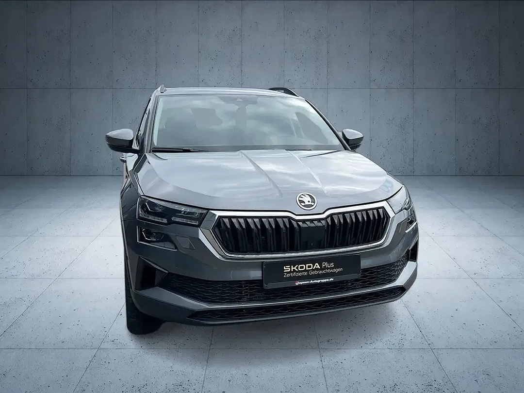 Skoda Karoq - Thumbnail 8
