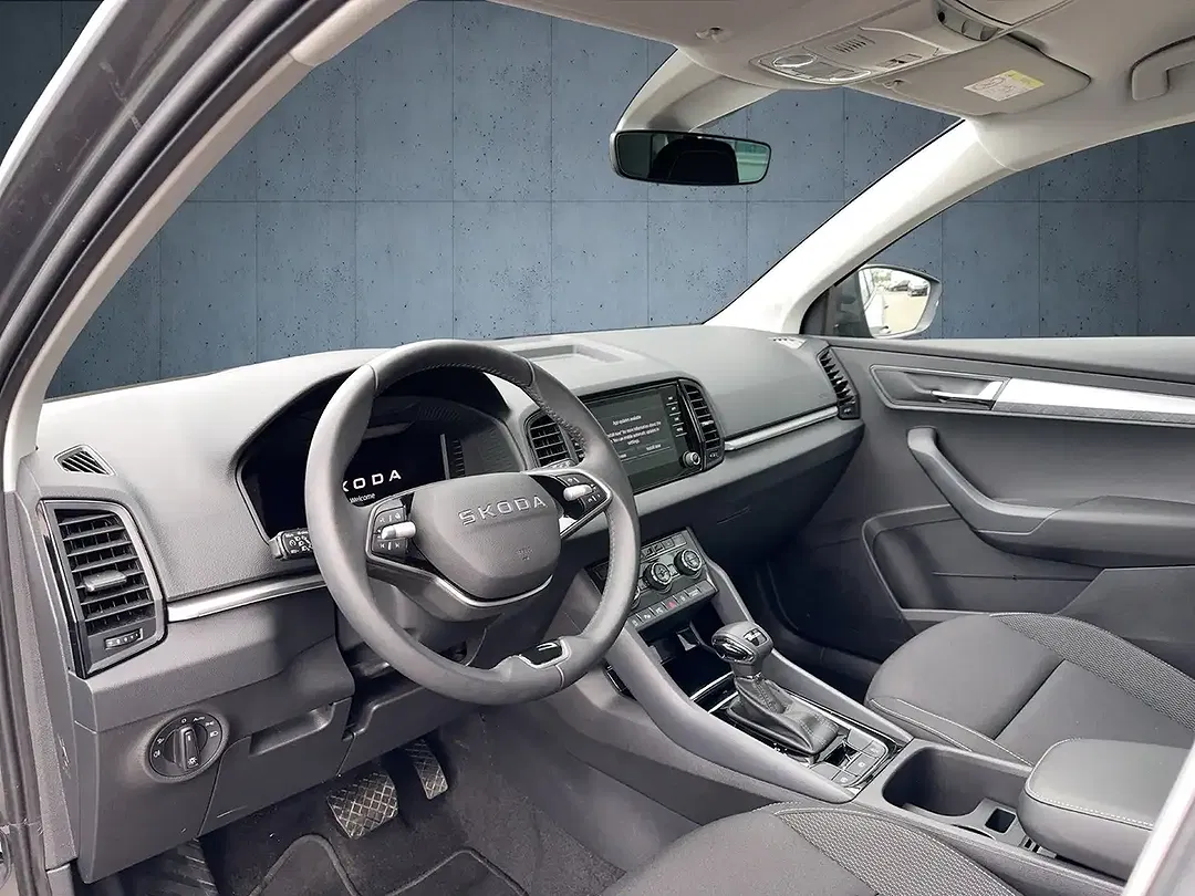 Skoda Karoq - Thumbnail 9