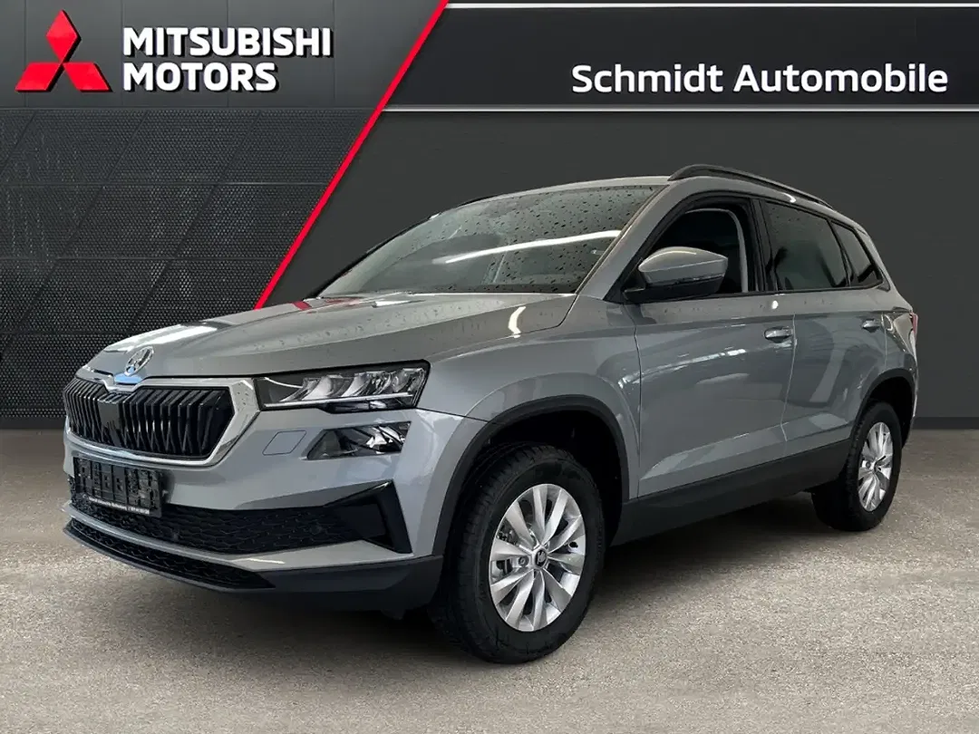 Skoda Karoq - Thumbnail 1
