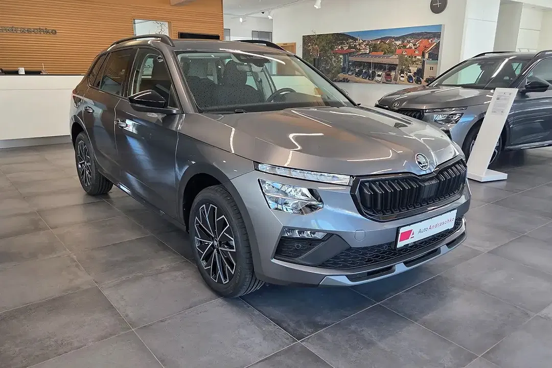 Skoda Kamiq - Thumbnail 3