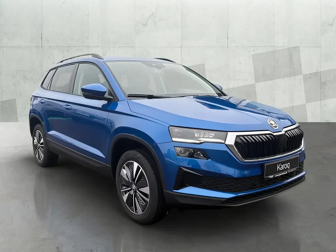 Skoda Karoq - Thumbnail 1