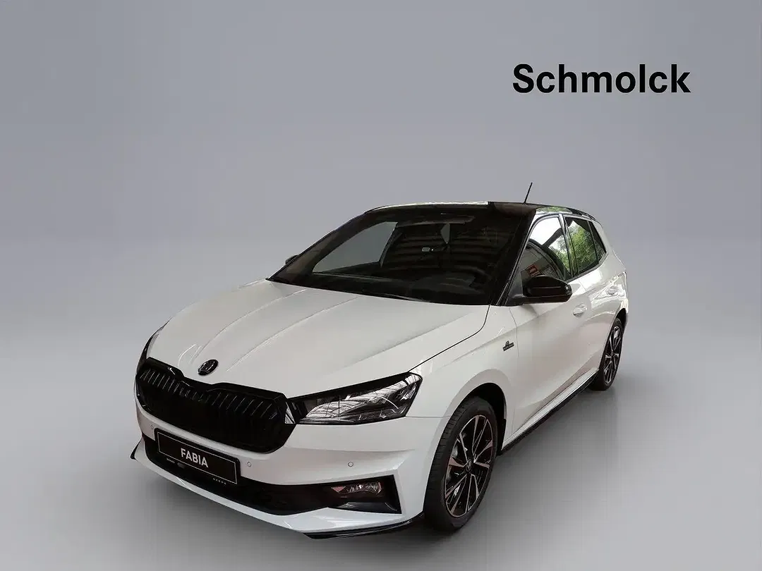 Skoda Fabia - Thumbnail 1