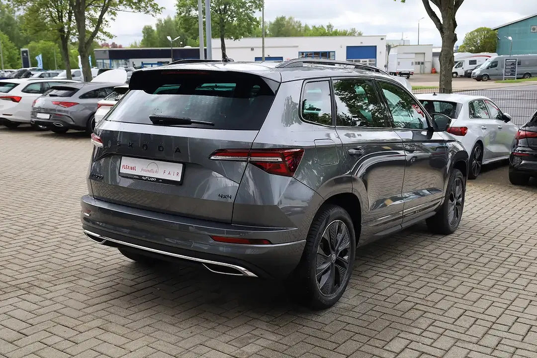 Skoda Karoq - Thumbnail 4