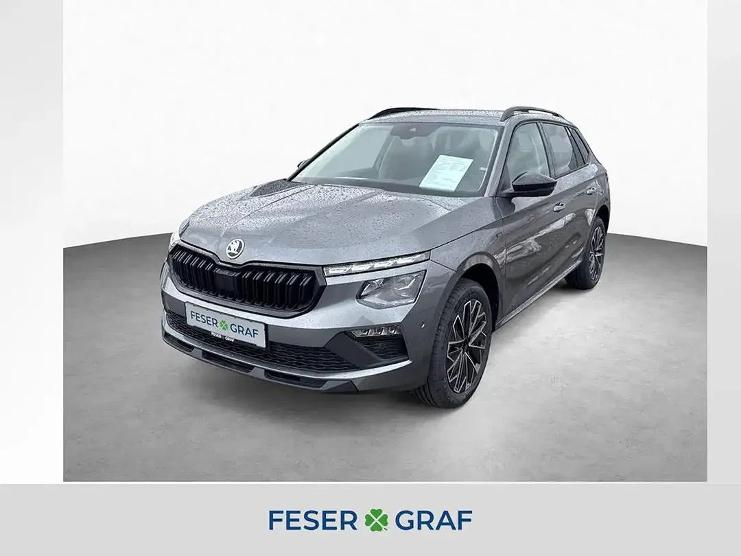 Skoda Kamiq - Thumbnail 1