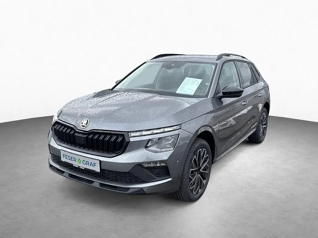 Skoda Kamiq - Thumbnail 16