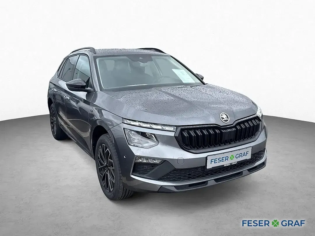 Skoda Kamiq - Thumbnail 3