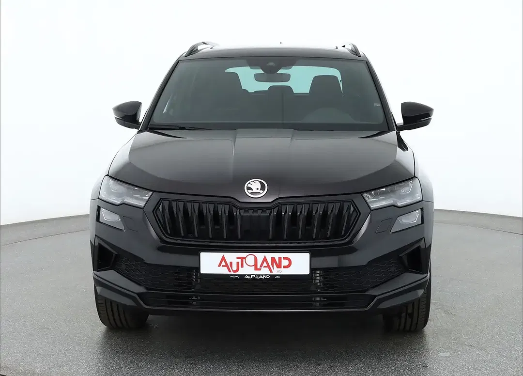 Skoda Karoq - Thumbnail 7