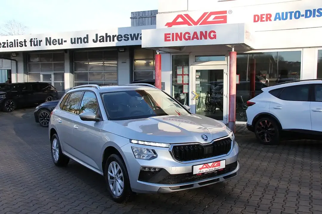 Skoda Kamiq - Thumbnail 14
