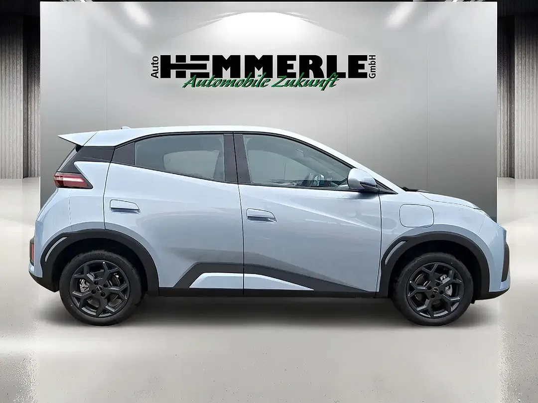 BYD Dolphin - Thumbnail 4