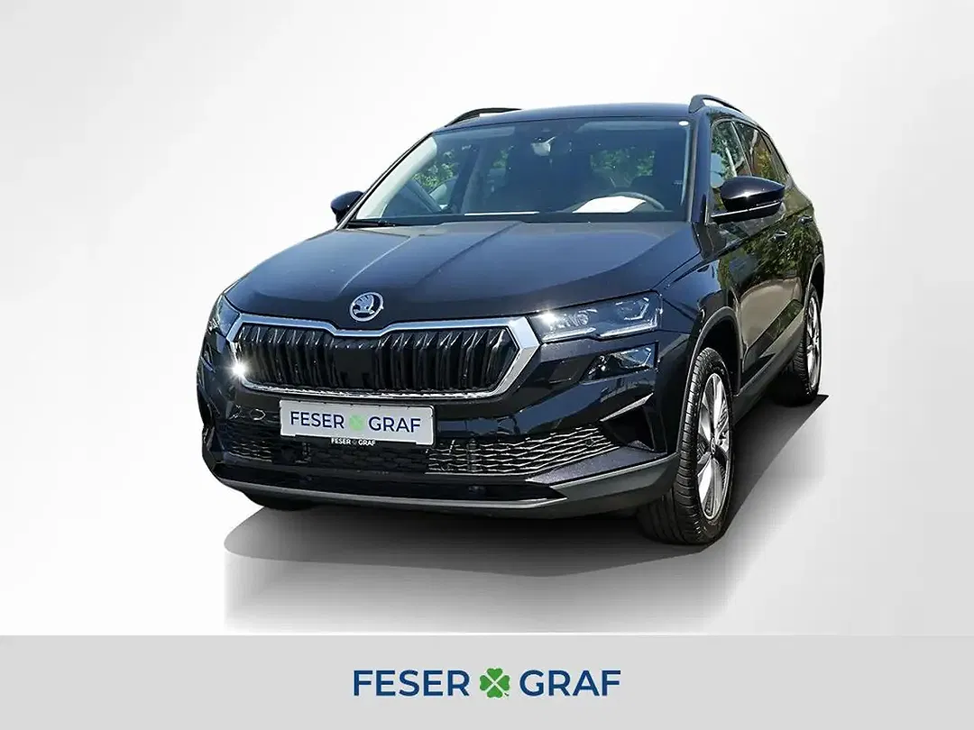Skoda Karoq - Thumbnail 1