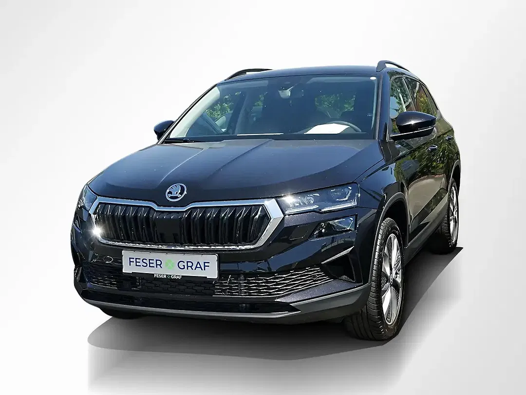 Skoda Karoq - Thumbnail 11