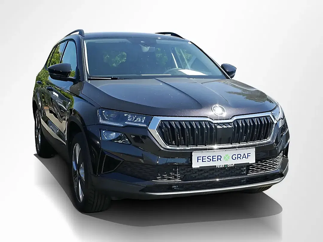 Skoda Karoq - Thumbnail 2