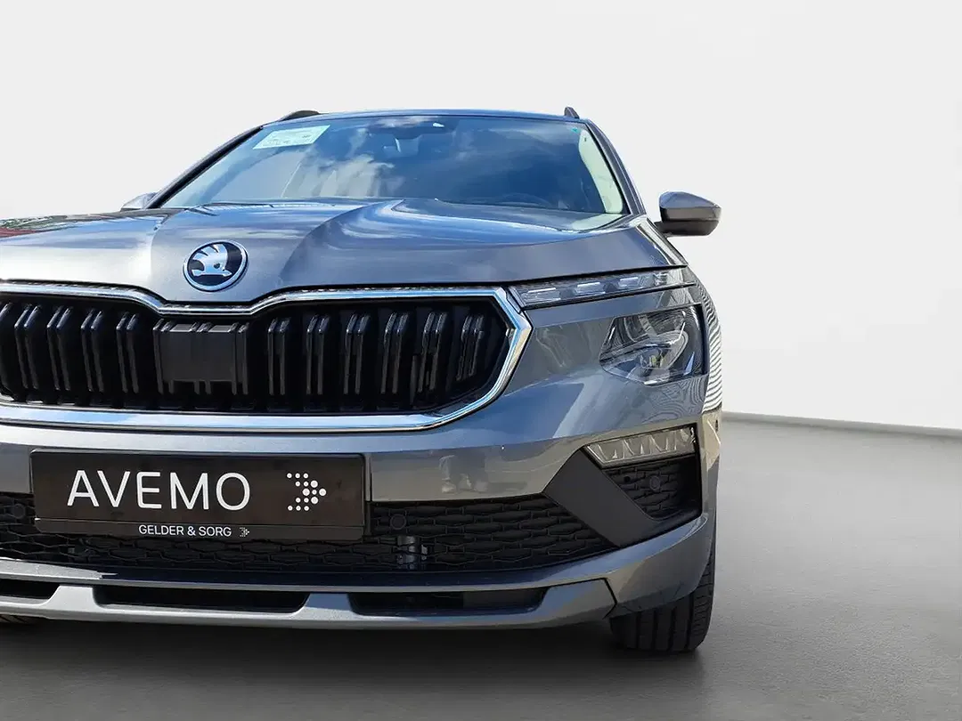 Skoda Kamiq - Thumbnail 11