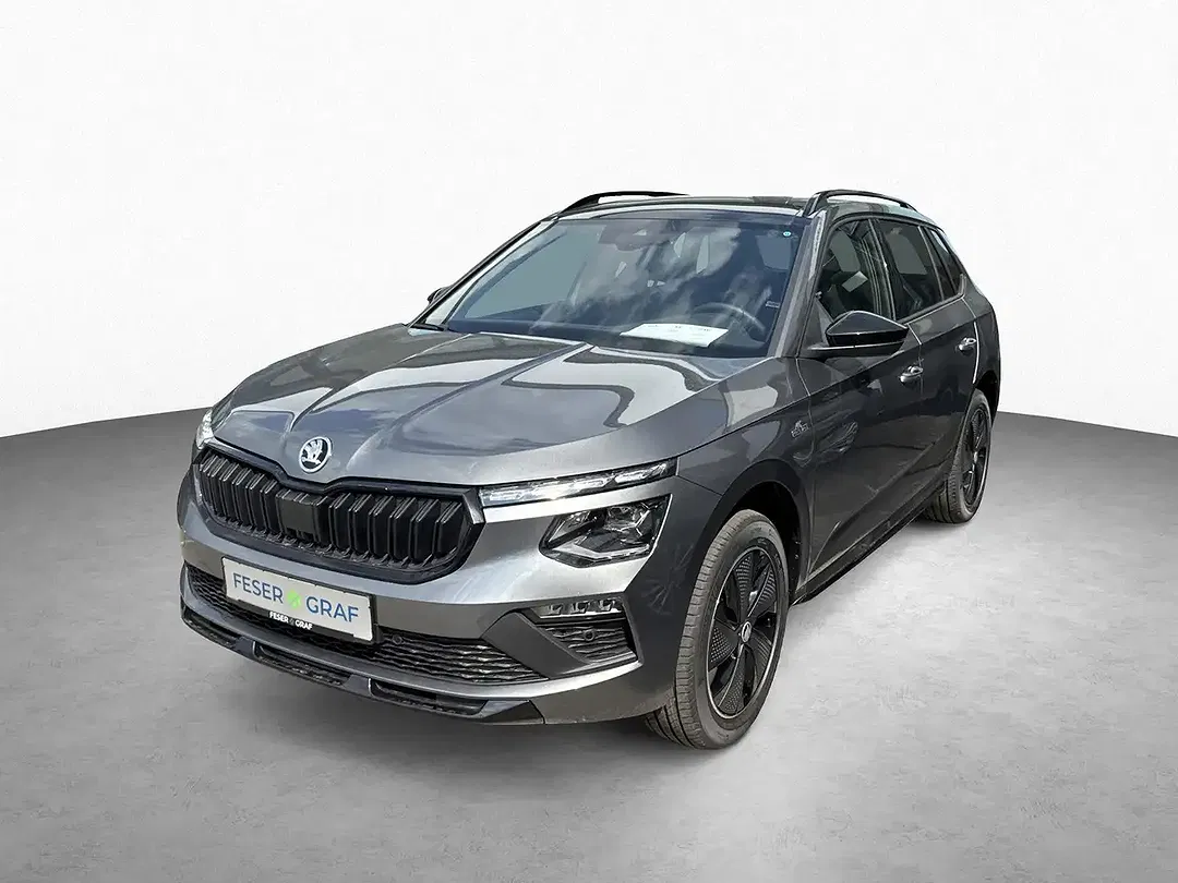 Skoda Kamiq - Thumbnail 14