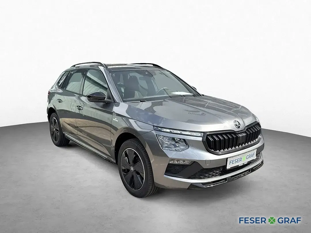 Skoda Kamiq - Thumbnail 3