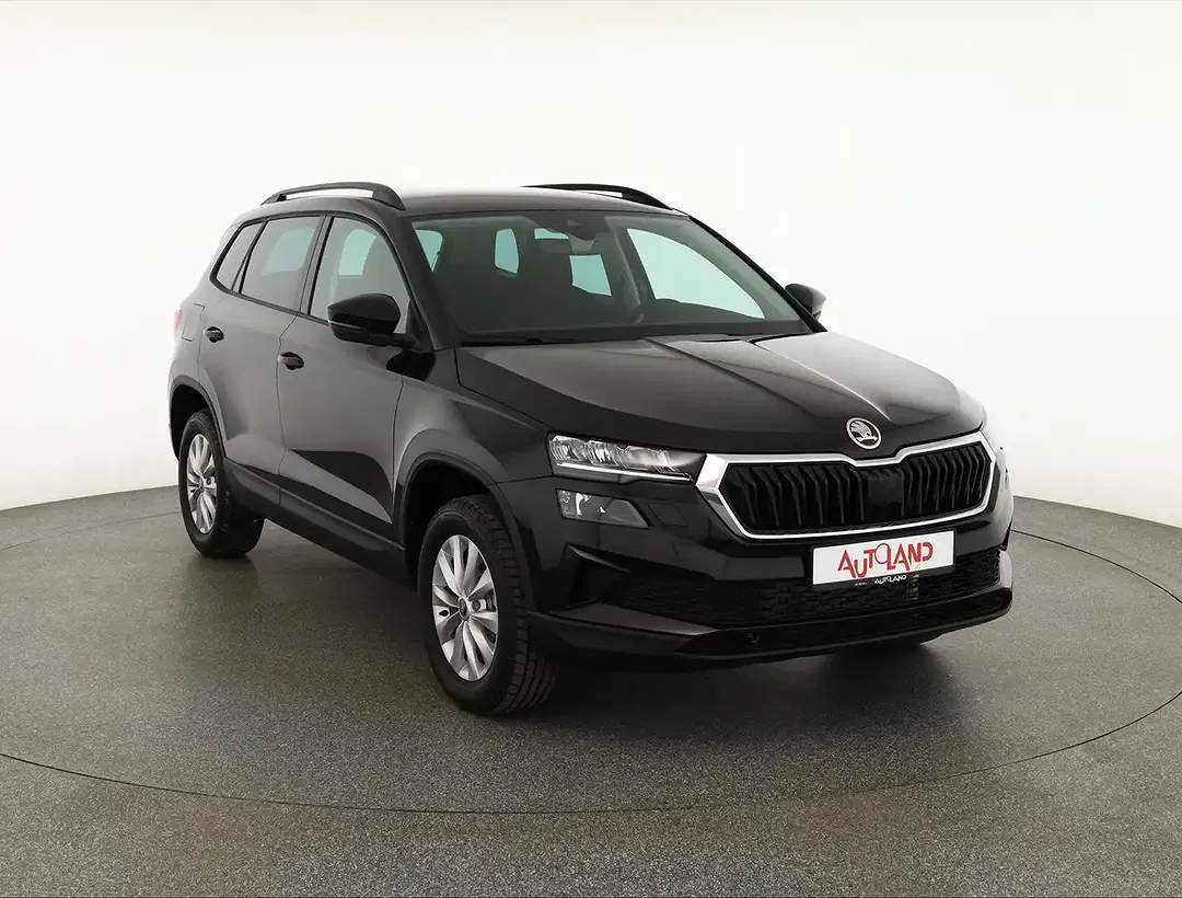 Skoda Karoq - Thumbnail 6