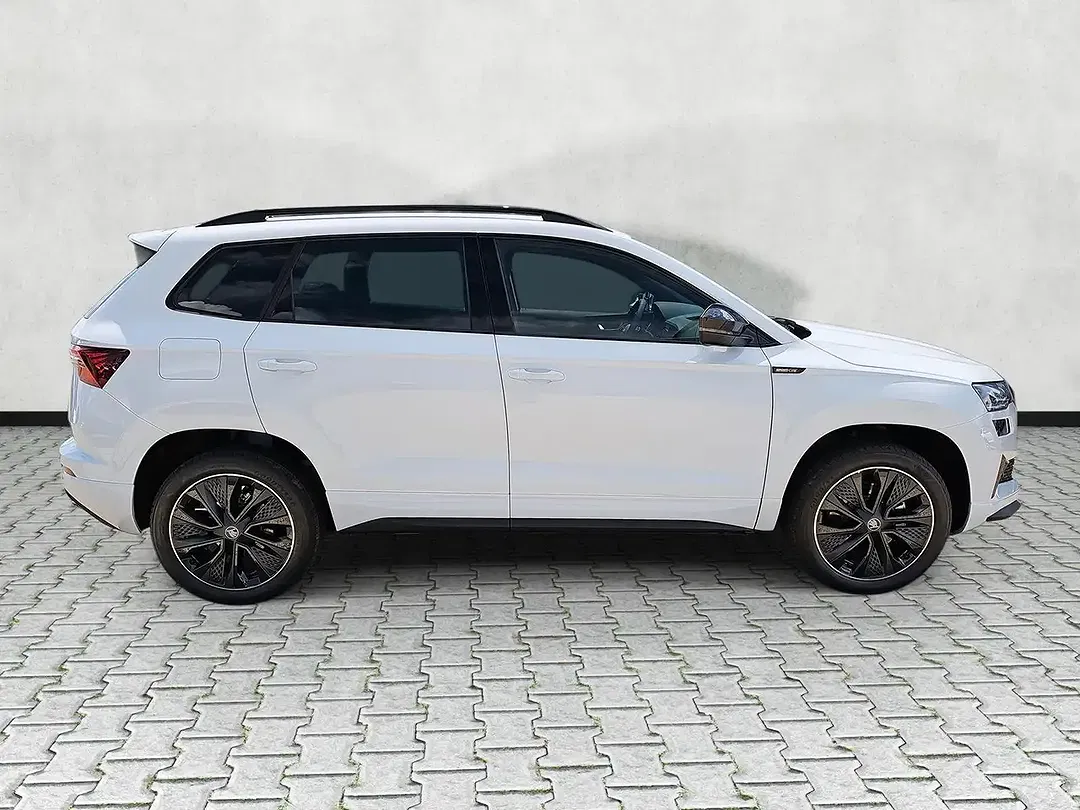 Skoda Karoq - Thumbnail 8