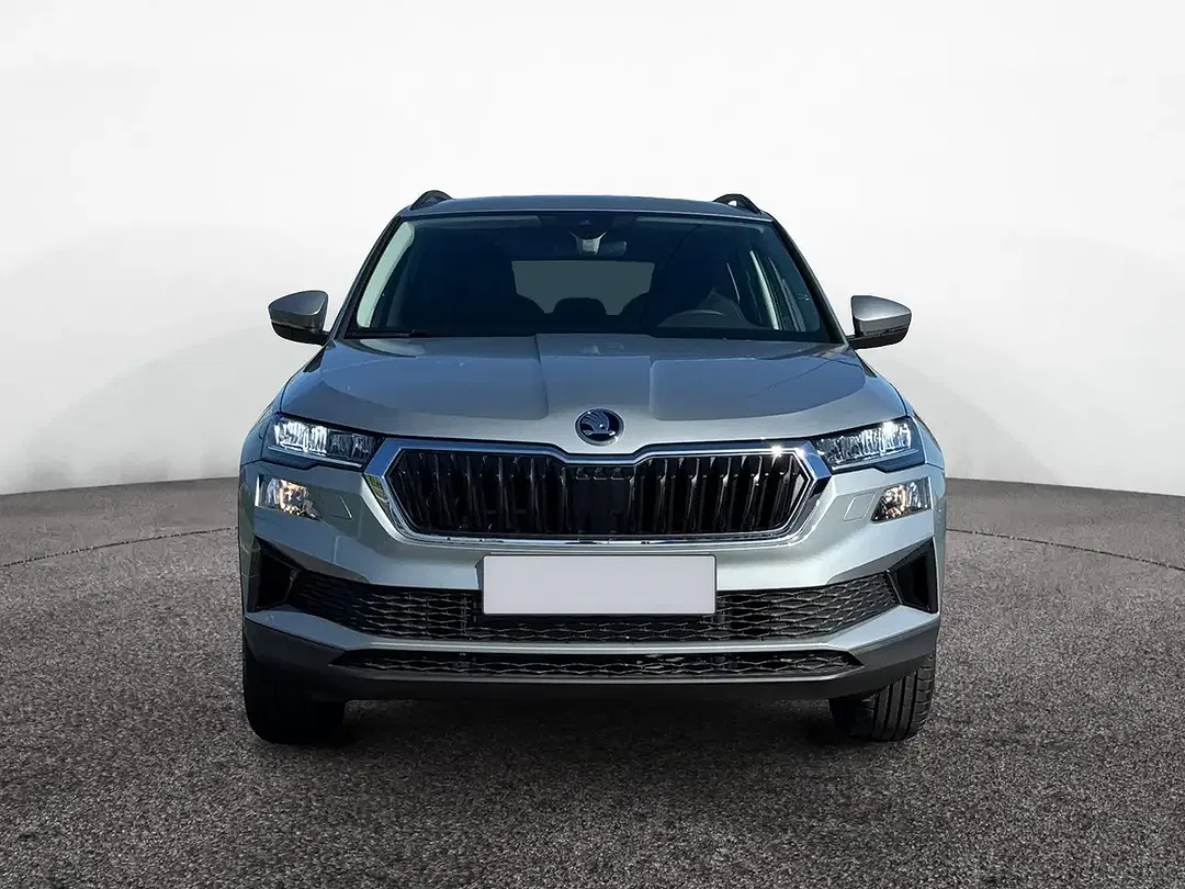 Skoda Karoq - Thumbnail 2