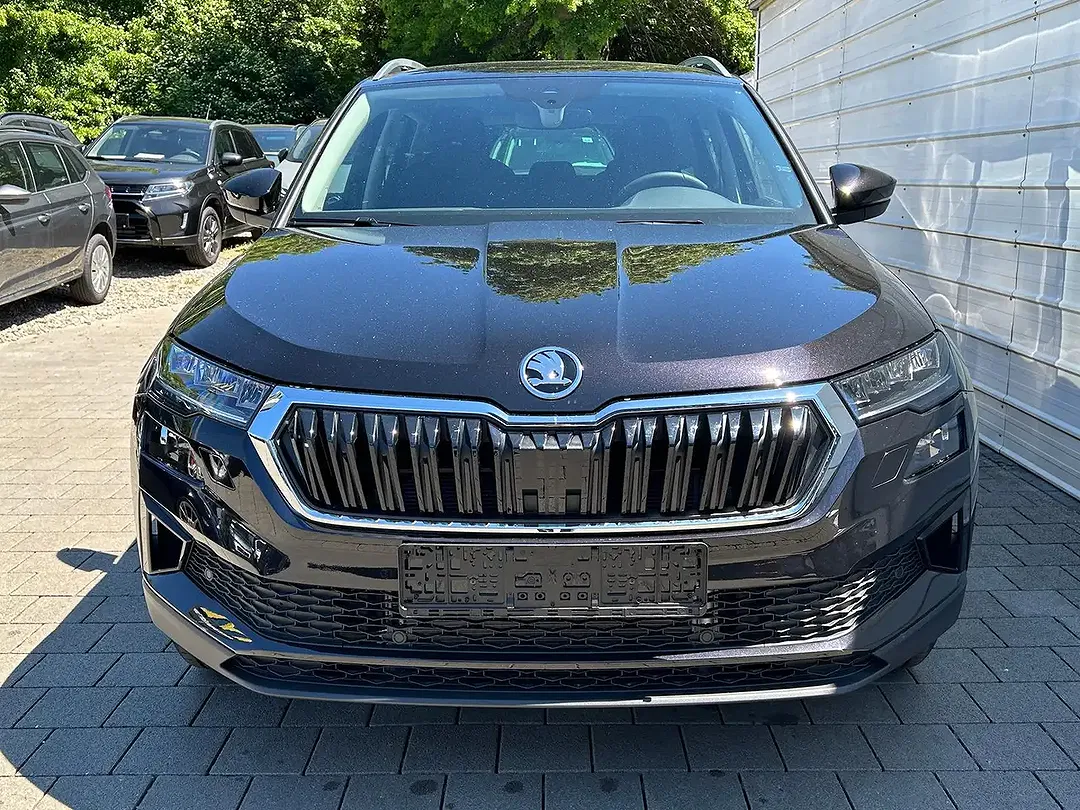Skoda Karoq - Thumbnail 2