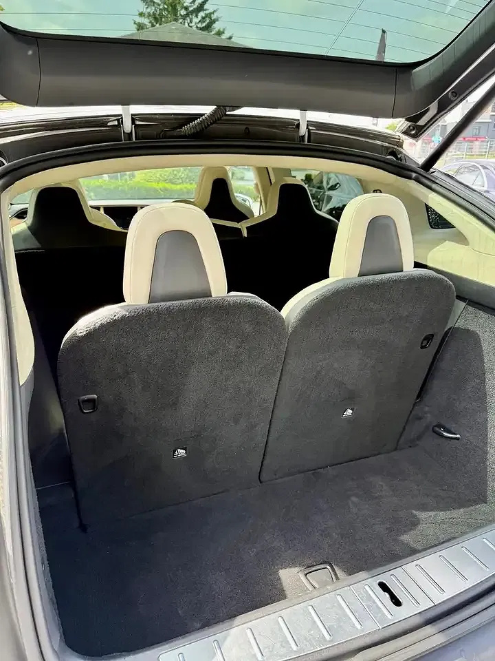 Tesla Model X - Thumbnail 9