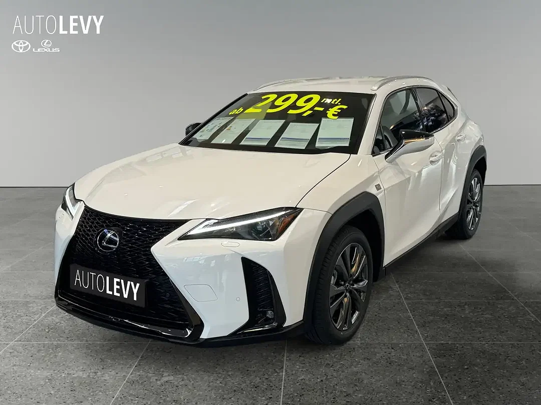 Lexus UX 300h - Afbeelding 1