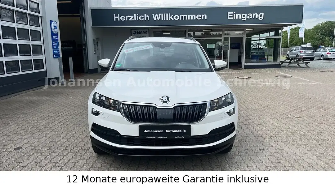 Skoda Karoq - Thumbnail 2