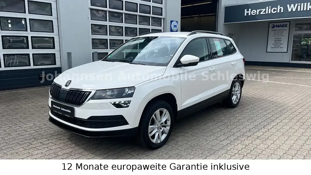 Skoda Karoq - Thumbnail 3