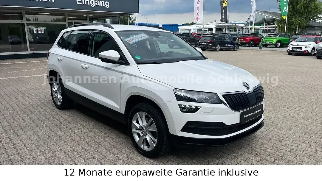 Skoda Karoq - Thumbnail 4