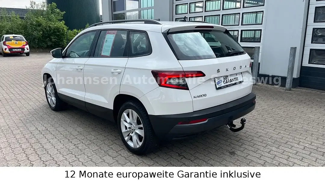 Skoda Karoq - Thumbnail 6