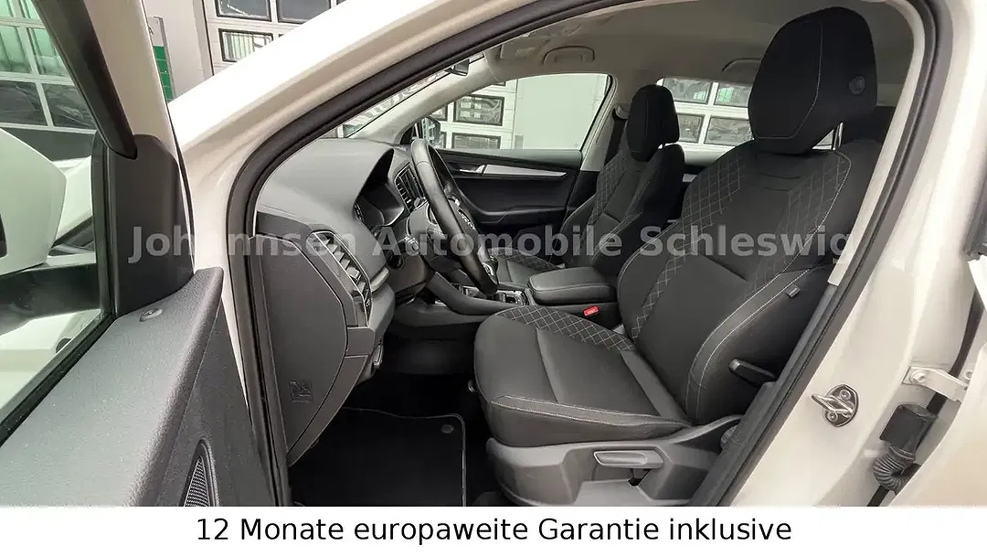 Skoda Karoq - Thumbnail 7