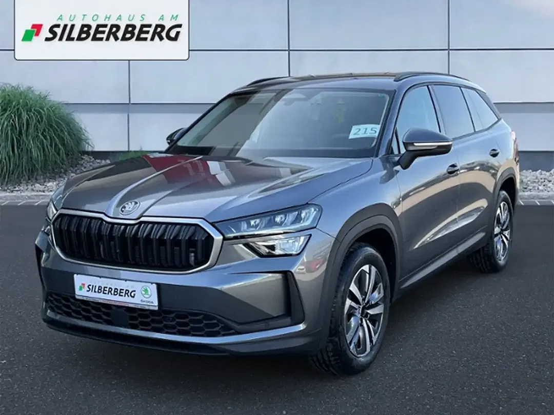Skoda Kodiaq - Thumbnail 1